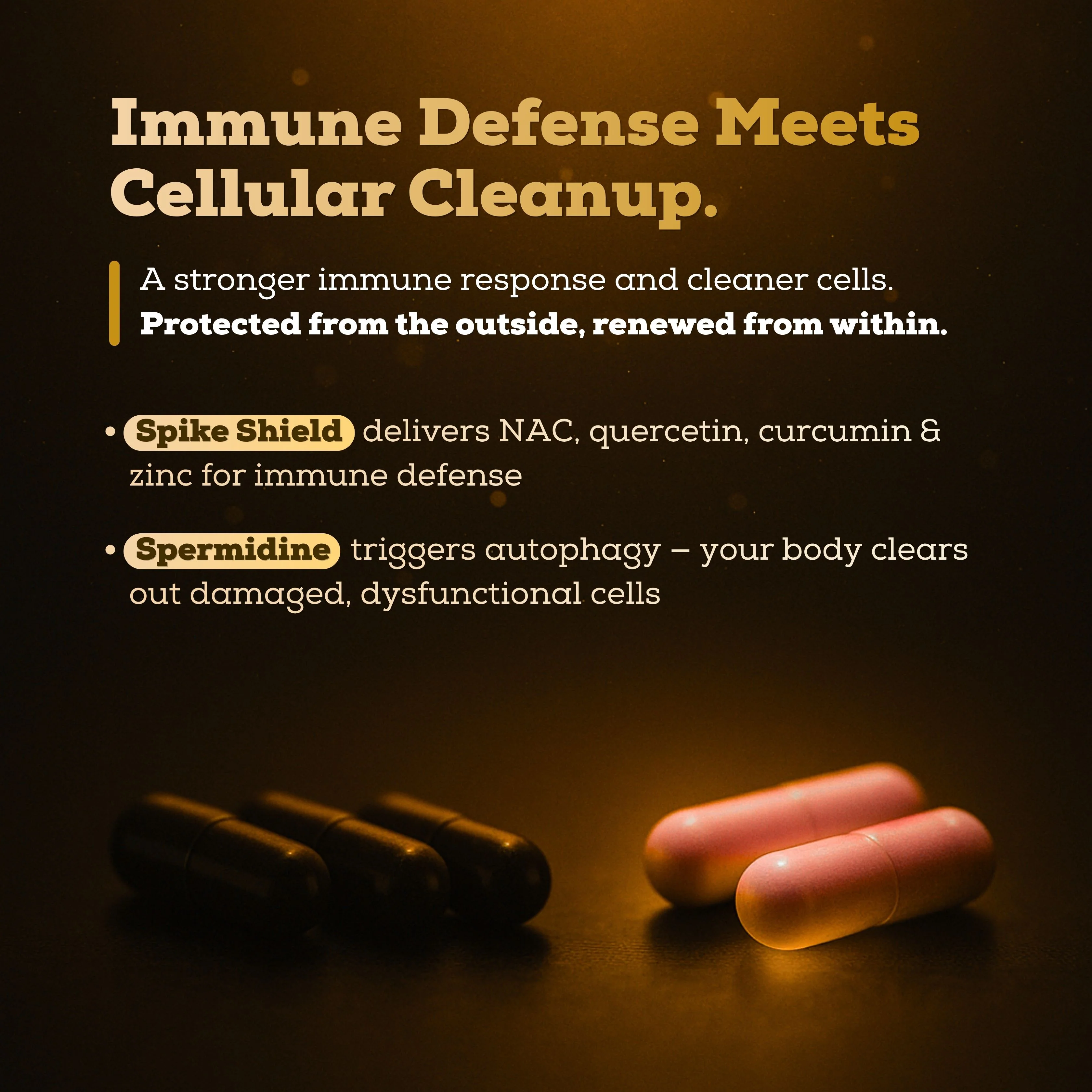 Detox Stack - Image 5