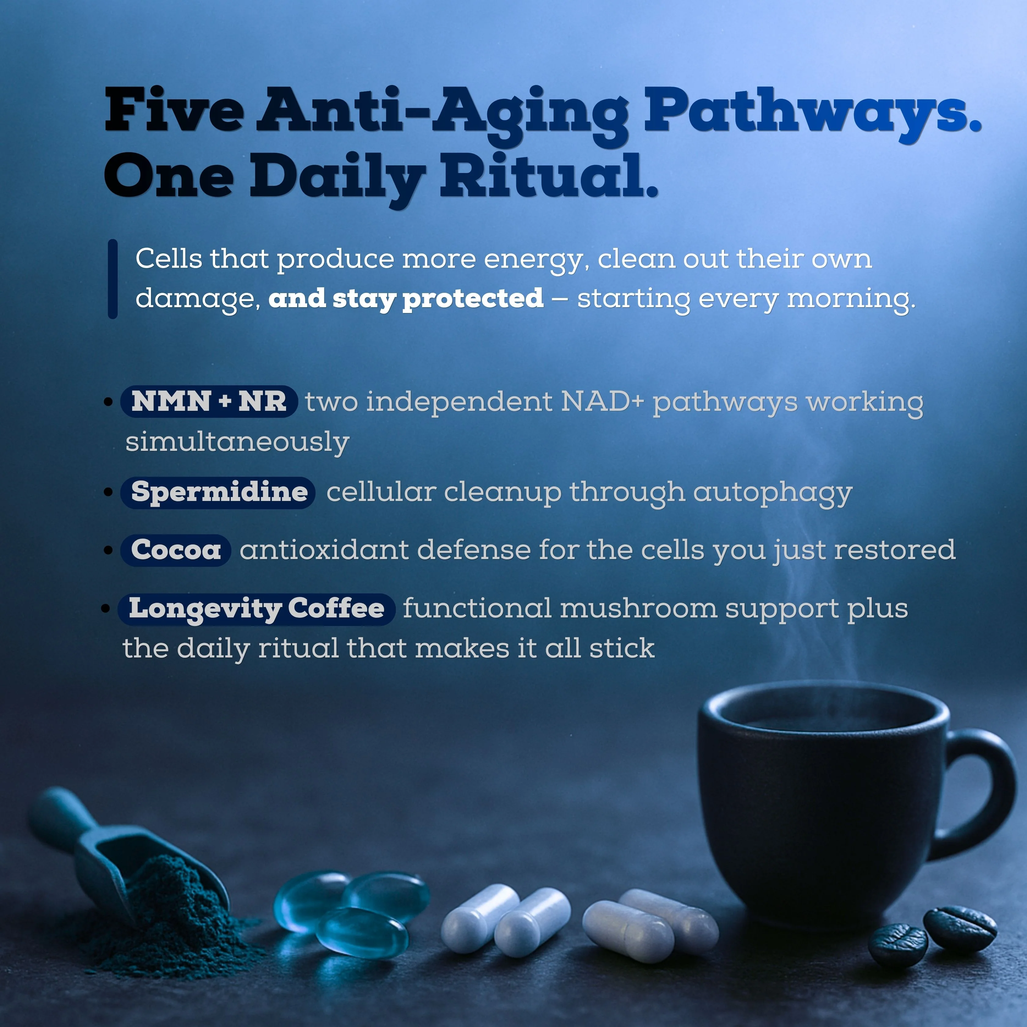 THE LONGEVITY STACK™ - Image 5
