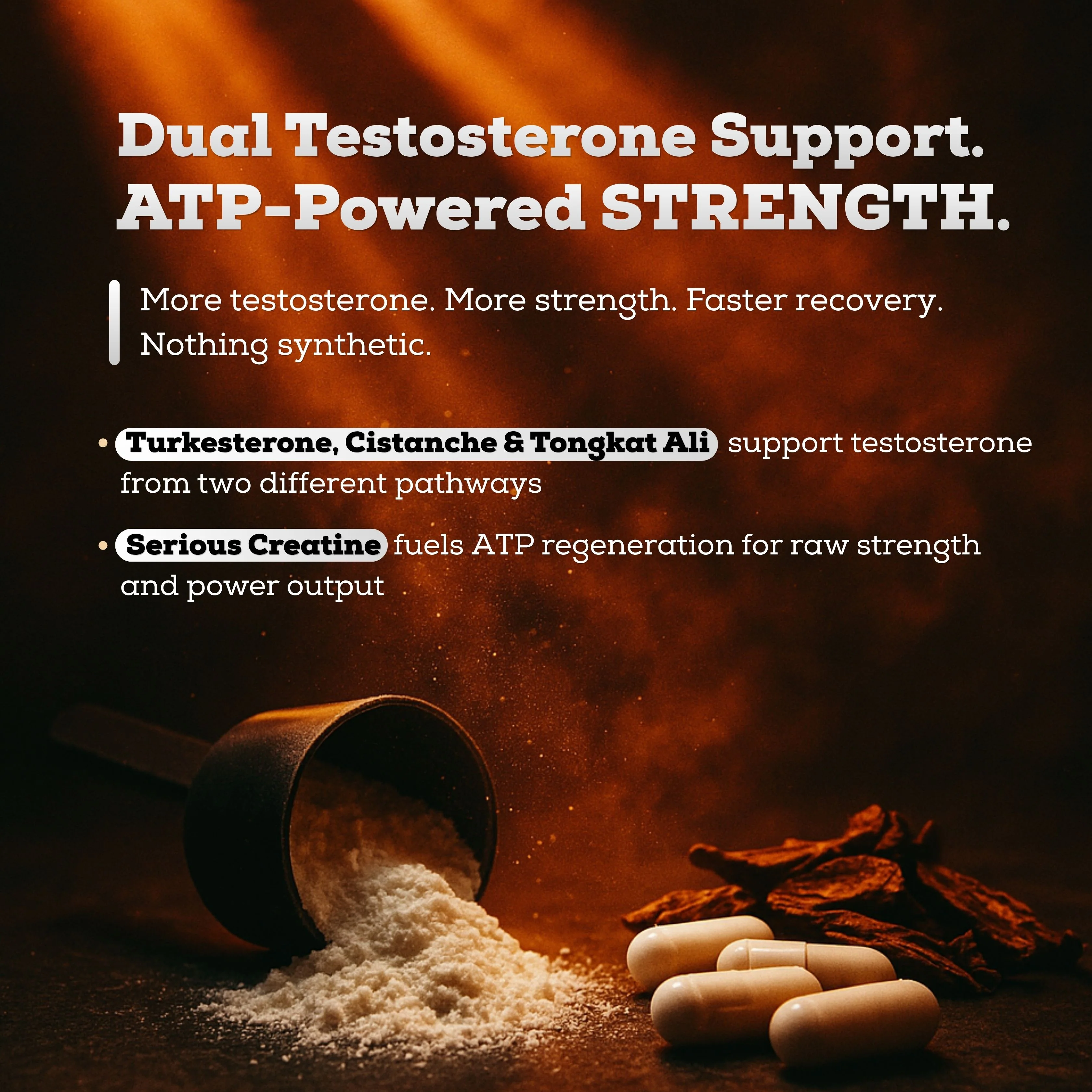 The Performance Stack™ - Image 3