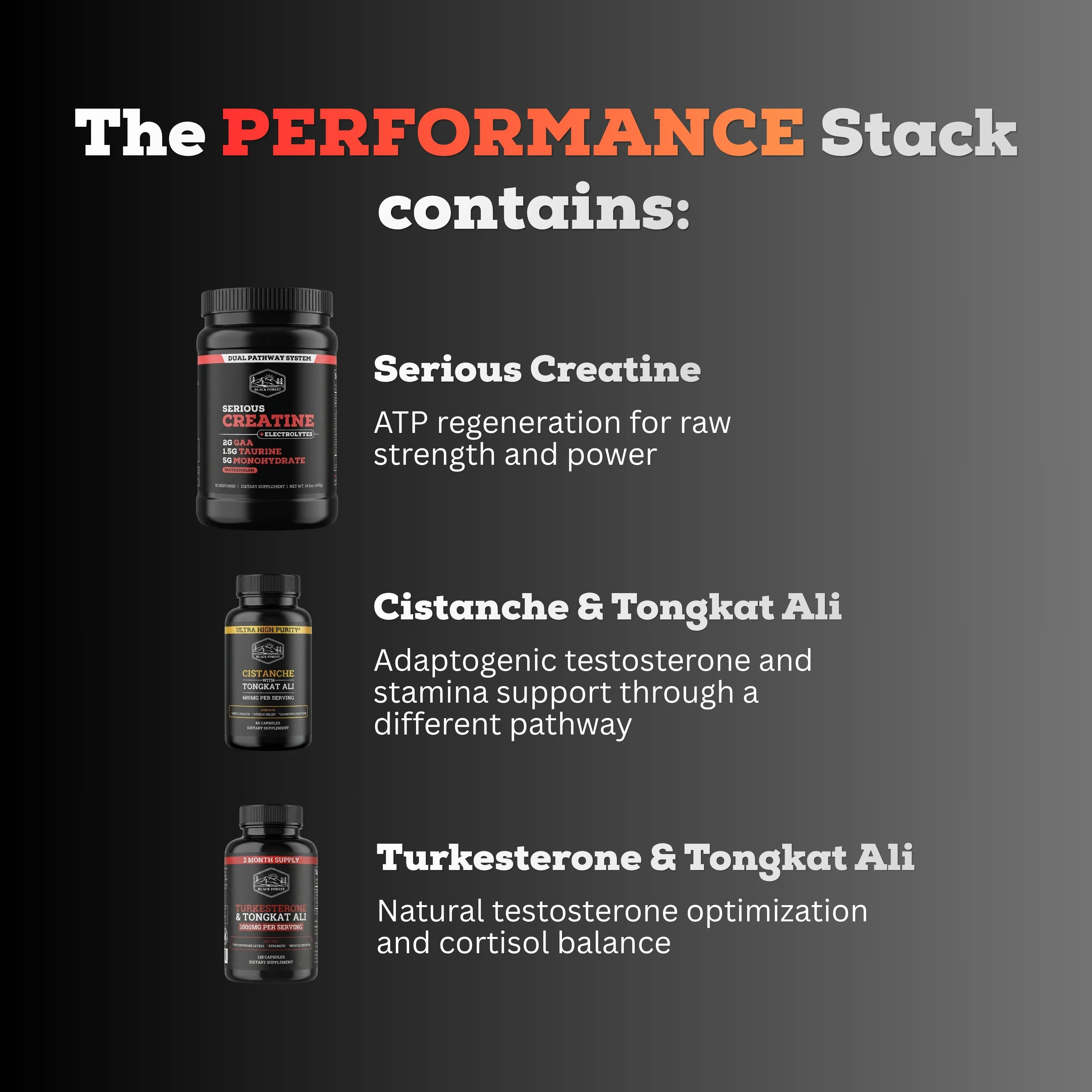 The Performance Stack™ - Image 4