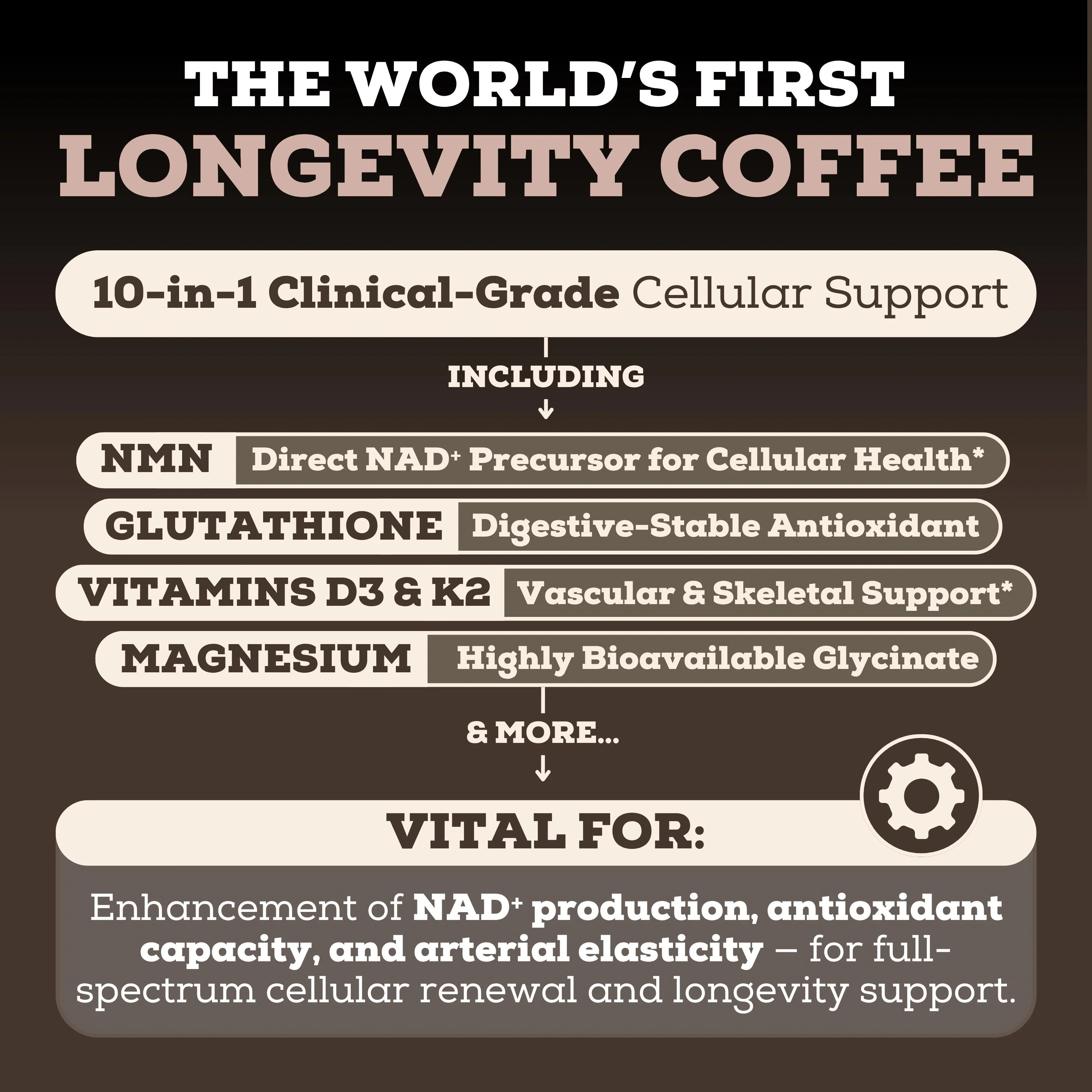 The Longevity Coffee (10-In-1) - Image 2