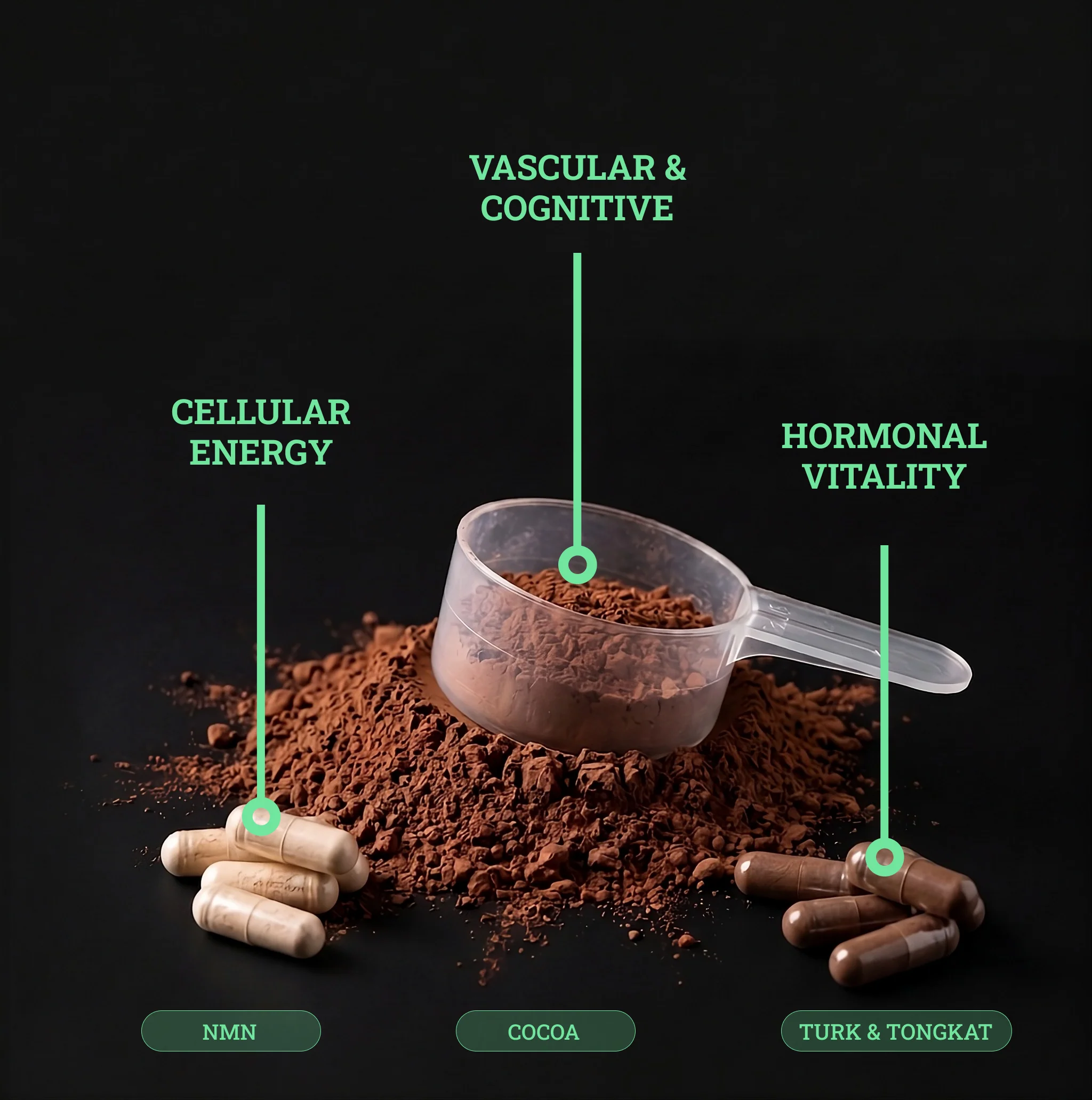 THE PROTOCOL™ - Image 5