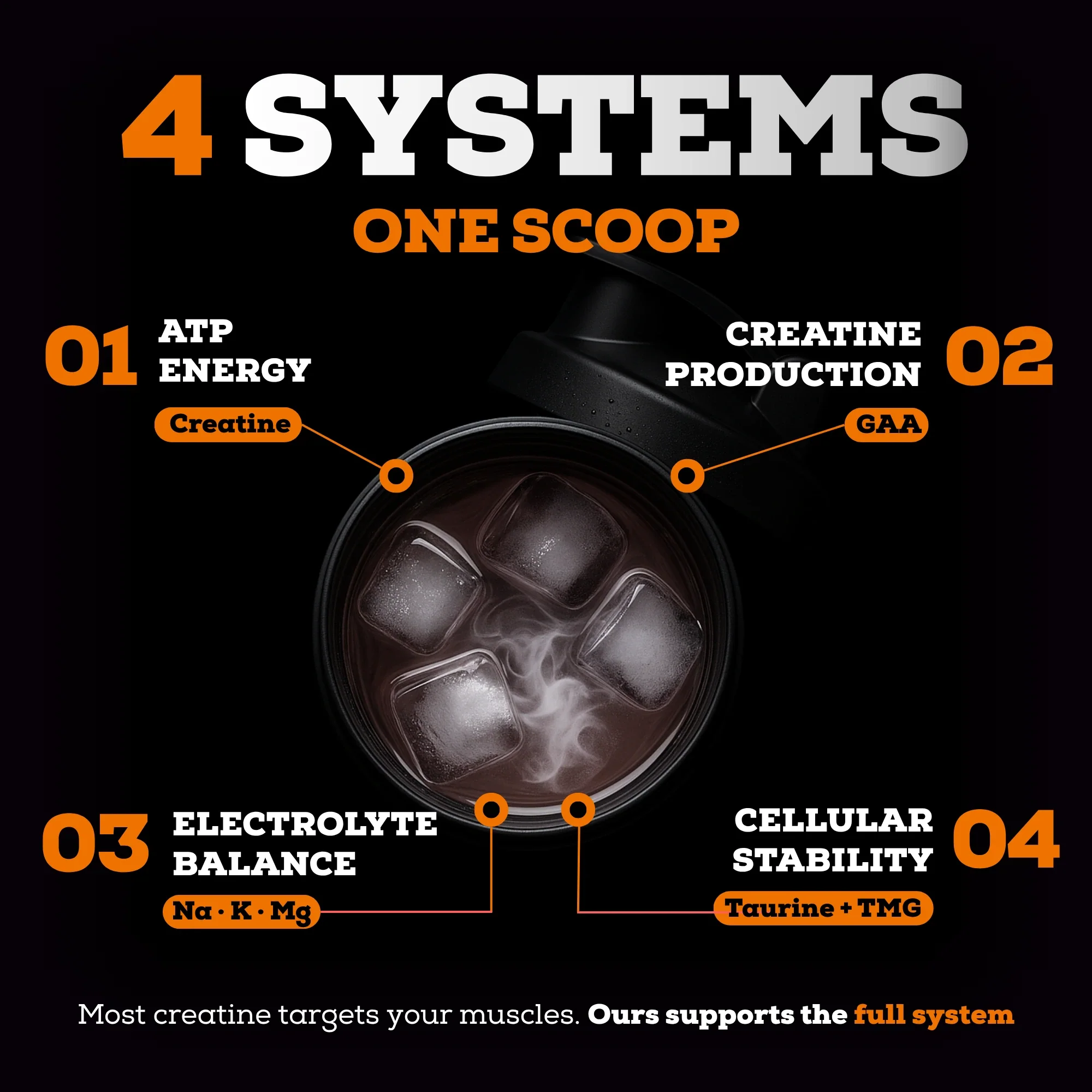 Serious Creatine™ - Image 10