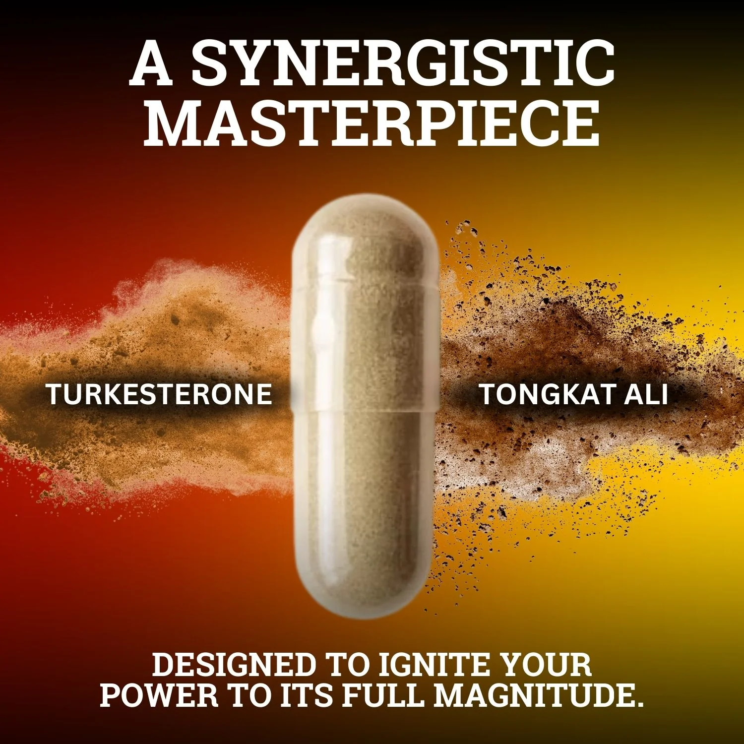 Turkesterone & Tongkat Ali | 1000MG - Image 5